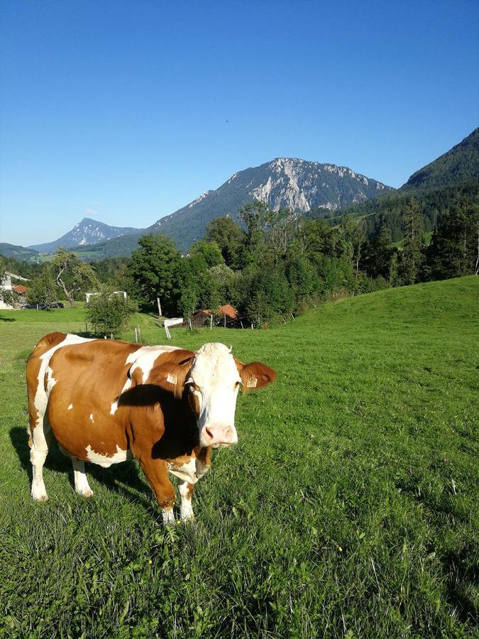 Almbauernhof Ruhpolding Exterior foto